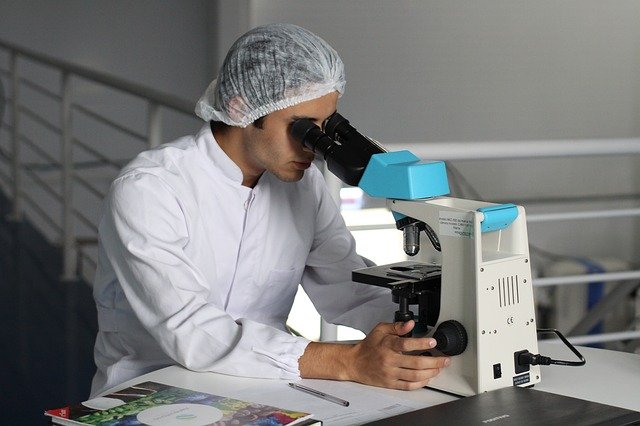 Bashar Ibrahim scientist researcher