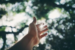 Hand reaching up to sunlight through trees enjoying warm Wollongong weather